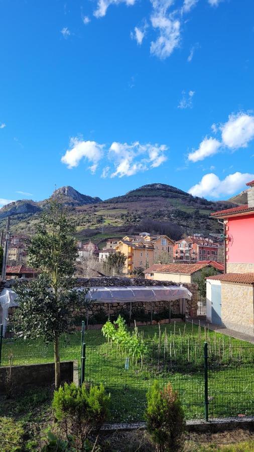 Casa Rural El Torrejon Guest House Arenas De Cabrales Bagian luar foto